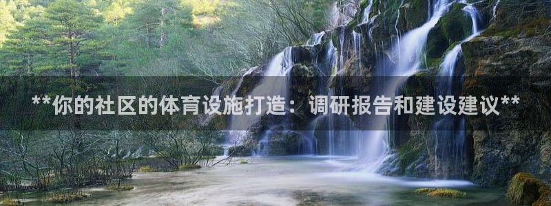 海南意昂体育3：**你的社区的体育设施打造：调研报告