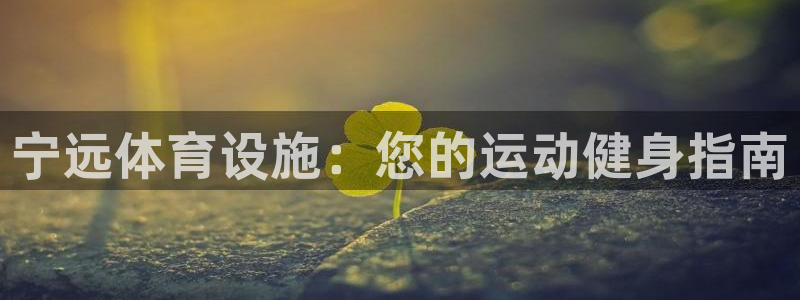 意昂体育3招商电话号码：宁远体育设施：您的运动健身指