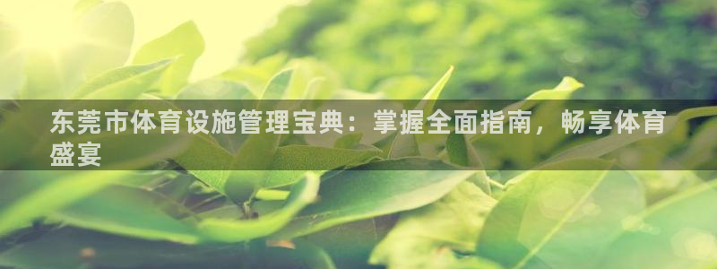 意昂体育3：东莞市体育设施管理宝典：掌握全面指南，畅