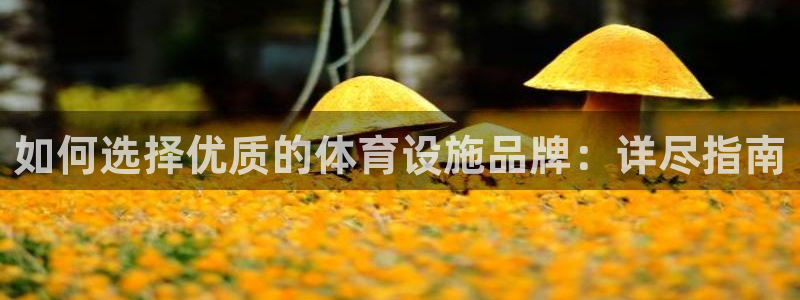 意昂3神州：如何选择优质的体育设施品牌：详尽指南