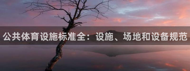 意昂体育3软件：公共体育设施标准全：设施、场地和设备